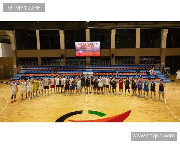 杭州篮球队灵活性分析与战术适应性研究探讨